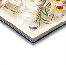 Dendrobium Falconeri Acrylic print