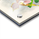 Cypripedium praestans var kimballianum Acrylic print