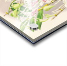 Dendrobium stratiotes Acrylic print