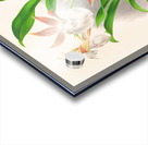 Zygopetalum rostratum Impression Acrylique