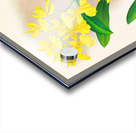 Oncidium concolor Acrylic print