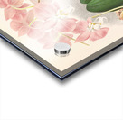 Phalaenopsis sanderiana Acrylic print