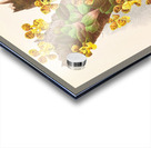 Oncidium Limminghei Acrylic print