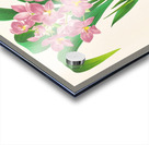 Spathoglottis plicata Acrylic print