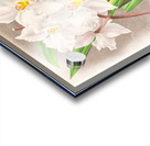 Odontoglossum alexandrae Acrylic print