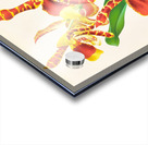 Odontoglossum grande Acrylic print