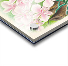 Phalaenopsis schilleriana Acrylic print