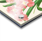 Odontoglossum Vexillarium Impression Acrylique