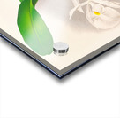 Pilumna nobilis Acrylic print