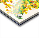 Oncidium sarcodes Acrylic print