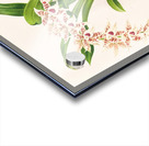 Odontoglossum lucianianum Acrylic print