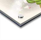 Phalaenopsis esmeralda var candidula Acrylic print