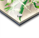 Selenipedium Reticulatum Acrylic print