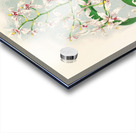 Odontoglossum ramosissimum Acrylic print