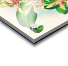 Odontoglossum Hastilabium Acrylic print