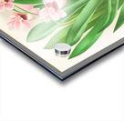 Miltonia vexillaria Acrylic print