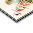 Paphinia Randi Paphinia Cristata Acrylic print