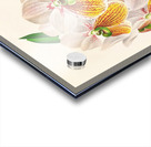 Vanda Sanderiana var Labello Viridi Acrylic print