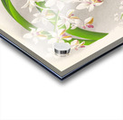 Vanda Boxalli Acrylic print