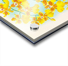 Oncidium marshallianum Acrylic print