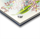 Odontoglossum odoratum var striatum Acrylic print