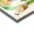 Selenipedium caudatum Acrylic print