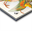 Oncidium kramerianum Impression Acrylique