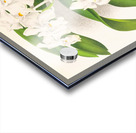 Vanda denisoniana Acrylic print