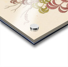 Cisfus Nov. Sp. [Cyphostemma quinatum] 1817 Acrylic print