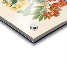 Icosandria monog. [Ochna arborea] 1817 Impression Acrylique