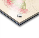 Brunswigia [Brunsvigia grandiflora] 1817 Acrylic print