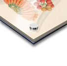 Cyrtanthus [Clivia nobilis] 1817 Acrylic print