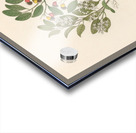 Celastrus [Apodytes dimidiata] 1817 Acrylic print