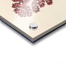 Aphyteia hydnora [Nymphaea nouchali] 1817 Acrylic print