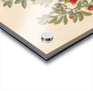 Octandria Monog. [Pappea capensis] 1817 Acrylic print