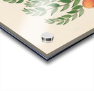 Eugenia or. Jambo [Eugenia albanensis] 1817 Acrylic print