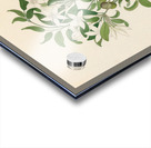 Jasminum angulare 1817 Acrylic print