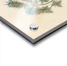 Acanthus carduifolia [Blepharis sinuata] 1817 Acrylic print