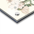 Crinum Scabrum 1834 Acrylic print