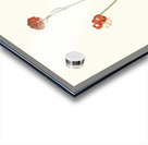 Lilium Pyrenaicum 1834 Acrylic print