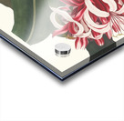 Crinium Augustum. [Queen Emma] 1834 Impression Acrylique