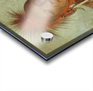 See-non-ty-a an Iowa Medicine Man 1844-1845 Acrylic print