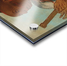 Ah-Tón-We-Tuck Cock Turkey Repeating His Prayer 1830 Acrylic print