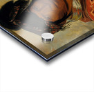 Co-Ee-Há-Jo a Chief 1838 Acrylic print