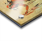 Cáh-Be-Múb-Bee He Who Sits Everywhere a Brave 1835 Acrylic print