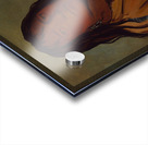 Chá-Tee-Wah-Née-Che No Heart Chief of The Wah-Ne-Watch-To-Nee-Nah Band 1832 Acrylic print