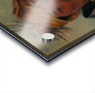 Ah-Yaw-Ne-Tak-Oár-Ron a Warrior 1831 Acrylic print