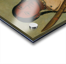 Chin-Cha-Pee Fire Bug That Creeps Wife of Pigeon’s Egg Head 1832 Acrylic print