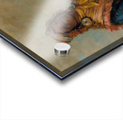 Hól-Te-Mál-Te-Téz-Te-Néek-Ee Sam Perryman 1834 Impression Acrylique