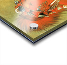 Jee-Hé-O-Hó-Shah Cannot Be Thrown Down a Warrior 1832 Acrylic print